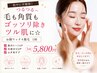 [毛も角質もゴッソリ除きツル肌に☆] 松やに不使用！お顔ワックス脱毛 １回