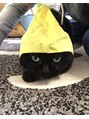 平岸カイロプラクティック&nbsp;ユウちゃんの娘ネコの、クロです。ドジですが愛嬌のかたまりです
