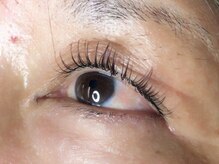 ウルカ アイラッシュ(uruka EYELASH)/フラットラッシュブラウン 120本