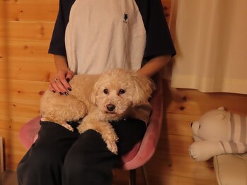 サロンシュシュ/ヘッドスパ+マッサージ+小顔