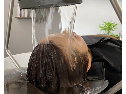 ミヤビ(miyabi)の写真