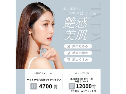 ソラ(Sora)の写真