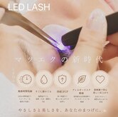 ルミン(Lumin)