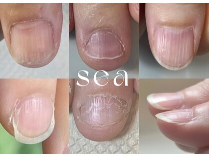 シー(sea)の写真