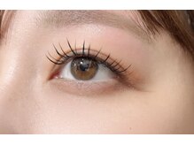 ペルシャ(Persian)/スタッフデザイン(担当/長島)