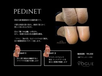 ザ ヴォーグ(the VOGUE)/足裏角質ケア｜ペディネット