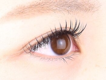 リリー ビケ(Lily biquet)/アイデザイン