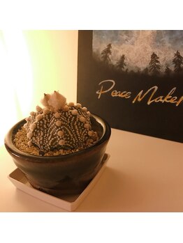 ブリリアンス 長野店(Brilliance)/癒しインテリア