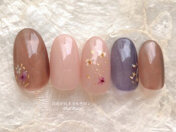 ブルーデイジー(Blue daisy)/