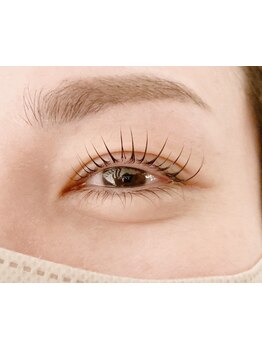 初めての方にオススメ