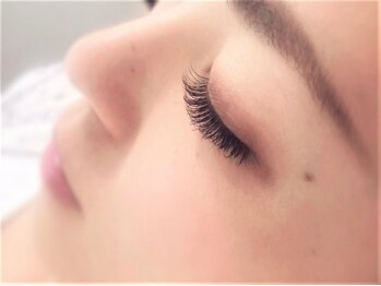 デイリー ラッシュ(DAILY LASH)の写真/控えめなボリュームで上品に際立つお目元へ【最新フラットラッシュ120本¥7530】仕上がり&モチの良さ抜群◎