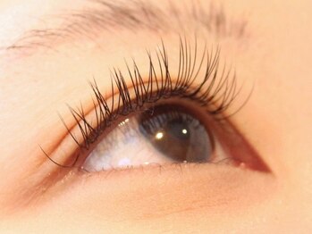 ミストアイラッシュ(mist eyelash)/フラットラッシュ　 &nbsp;[マツエク]