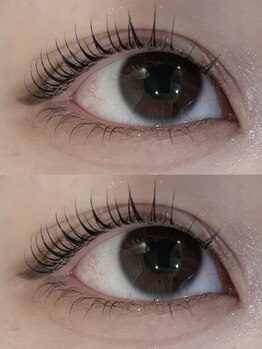 アイラッシュプラン 天王寺駅前店(eyelash plan)/韓国風パーマ