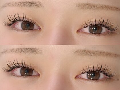 メルシー(Merci)の写真