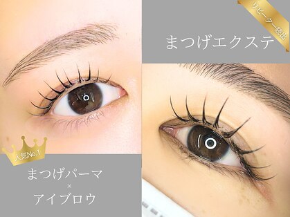 ヒビ(hibi)の写真