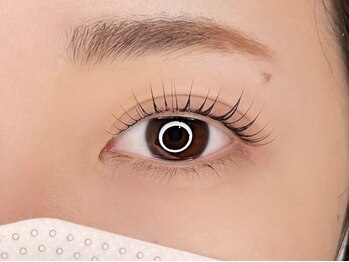 ケイラッシュ(K-LASH)/ラッシュリフト立ち上げデザイン