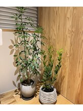 ロウエン(LAUEN)/