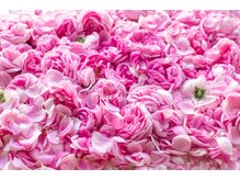 ハグミー(Hugme)/夏にピッタリ！ローズの蒸気浴！