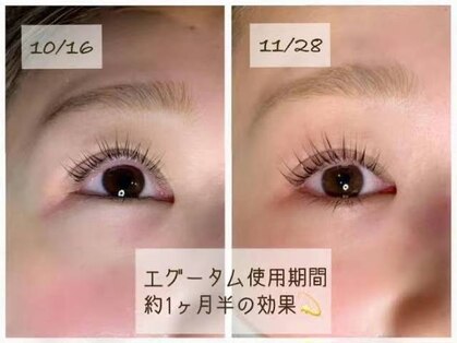 アンジュネス 池袋の写真