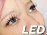 【持続力1.5倍～2倍】最新技術★LED×フラットラッシュ　80本　[伊勢崎]