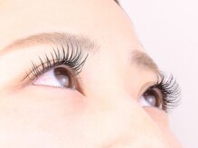 リリー ビケ(Lily biquet)/アイデザイン