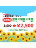 夏休み特別クーポン【全身矯正】
