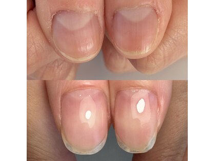 カラー(calla)の写真