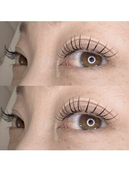 ビューティー アイラッシュ ベルウインク(Bellewink)/まつげエクステ