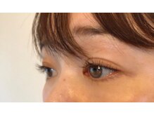 アルモワーズ(armoise)/マットフラットラッシュ120本