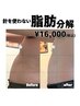 【新規割/集中痩身ケア】針を使わない脂肪分解　¥17,600→¥16,000