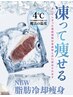 ☆NEW☆【脂肪冷却体験】　一か所初回限定　　5,980円