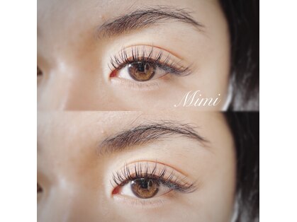 ミミ(Mimi)の写真