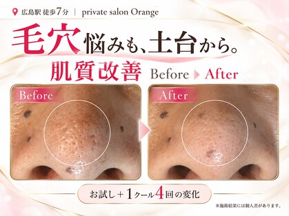 オレンジ(Orange)の写真