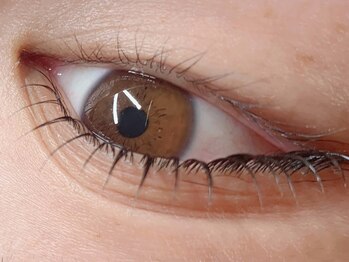 チョビ(Chobi)/まつげパーマ