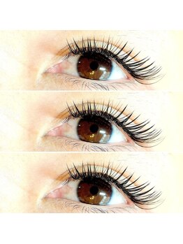 ルピナス(Lupinus)/ボリュームマツエク