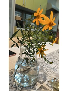 マシュマロハンド/よもぎ蒸し/冷え/むくみ改善