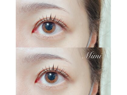 ミミ(Mimi)の写真