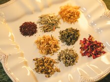 ステラヘルバの雰囲気(こだわりのハーブとお水です 香りと温もりの癒し時間を)