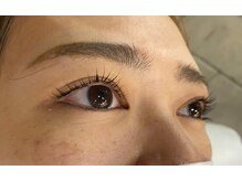 ジョリー(Jolie)/