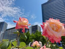 爪切り屋 足楽/【中ノ島バラ園】（徒歩9分）