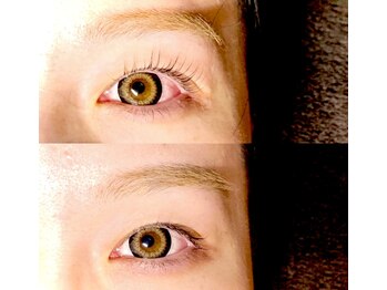 アイラッシュ アイビー(Ivy)/