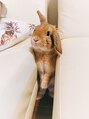 ヴィエルージュ(Vierouge) 自宅で飼ってるうさちゃん[五反田/ハーブピーリング]