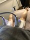 サロン ヴィヴァン(salon vivante)の写真/【結果重視の方必見!!】宮崎希少の機械で気になる脂肪を冷却分解☆スッキリとした憧れのボディラインに♪