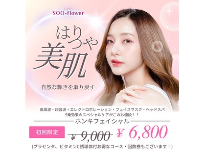 スーフラワー(SOO-flower)の写真