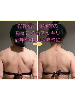 サンタイ(santai.)/specialバリニーズ