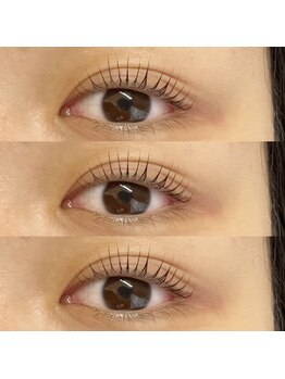 アイラッシュ ベイビーステップ(Eyelash Baby step)/パリジェンヌラッシュリフト