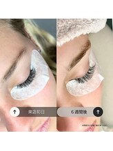 サロンド アンジュリーク(salon de Anjulique)/LEDマツエク