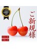 【ご新規様用☆5月限定☆】平日10時～16時限定☆100種類の定額コース☆