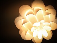 プラッシュ(Plash)/内観