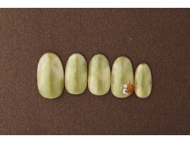 ピスタチオネイル